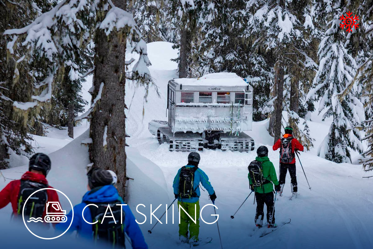 tipo_cat_skiing2