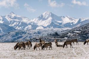 AspenSnowmass6
