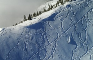 Canada_KickingHorse7