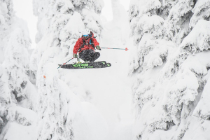 Mustang_powder_bruno-small