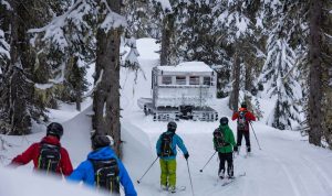 MustangPowder_Agatha-forest-skiers-