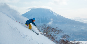 Niseko_The-Green_Leaf3