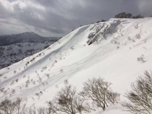 shimamaki-catskiing