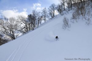 shimamaki-catskiing2