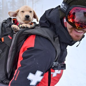 Telluride5