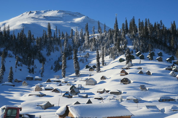 Bakmaro1