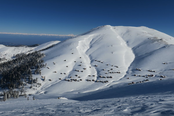 Bakmaro2