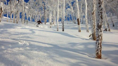 Japanhokkaido-powder-trip-2017
