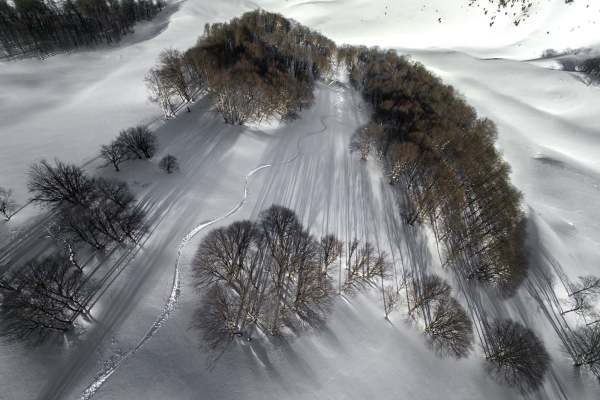 PowderProjectGeorgia1_1