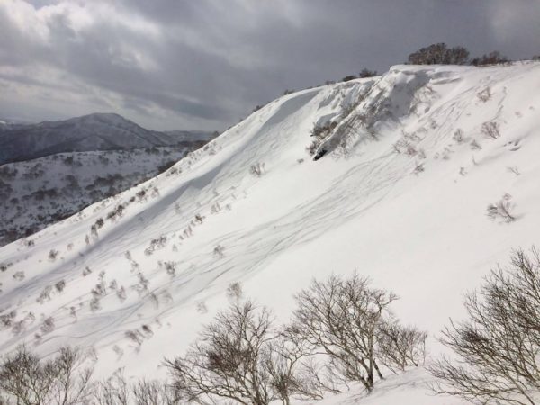 shimamaki-catskiing