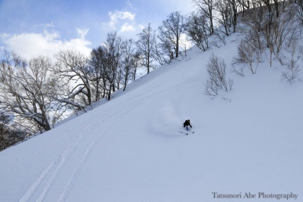shimamaki-catskiing2