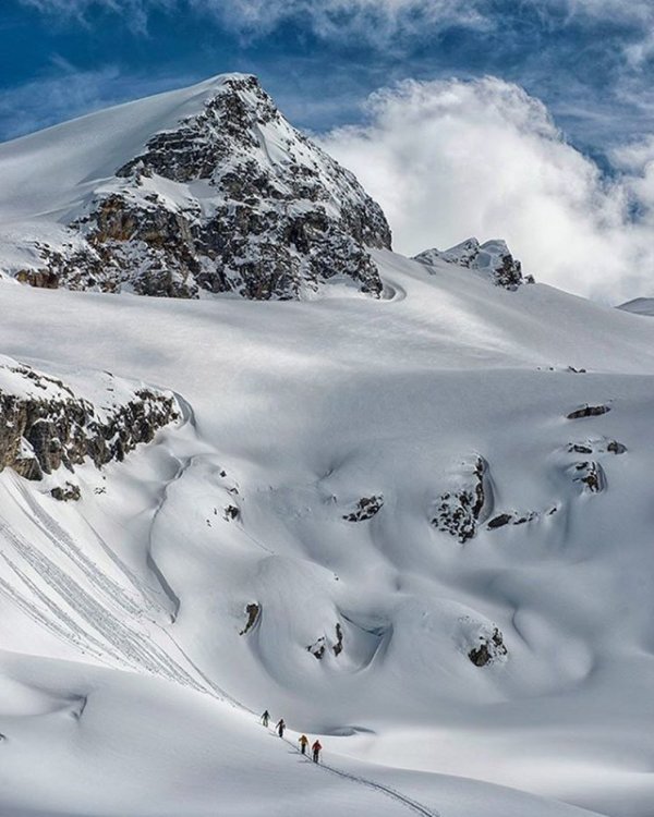 UGC-_leecohen_pics-CMH-Adamants-April-5-2018