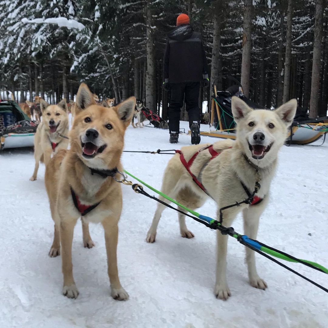 CanadaSunPeakResort7