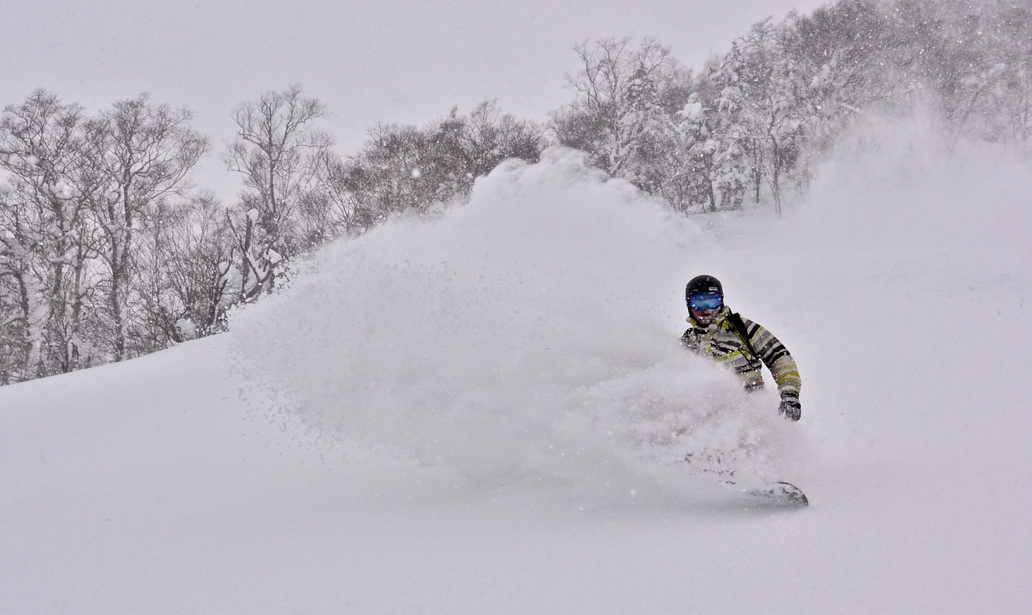 hokkaido-freeride3