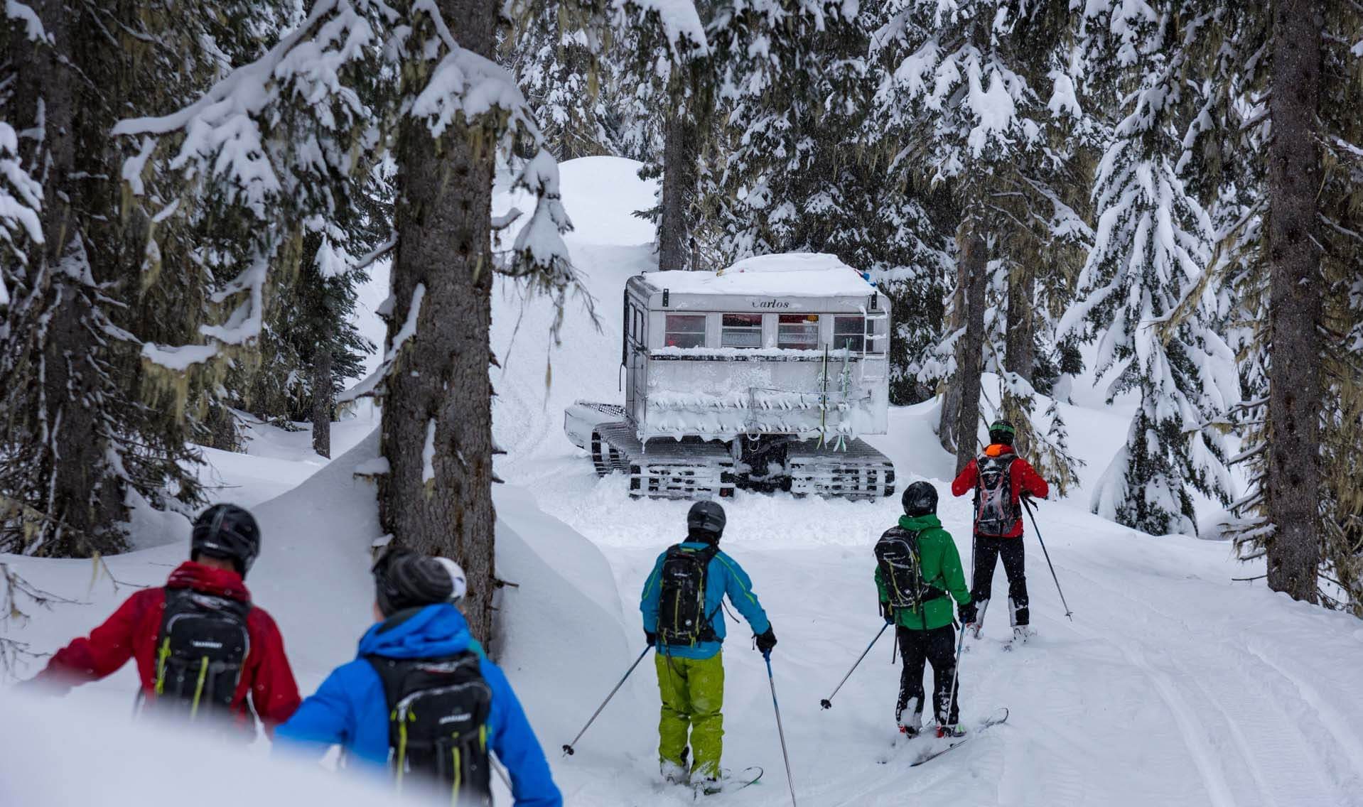 MustangPowder_Agatha-forest-skiers-