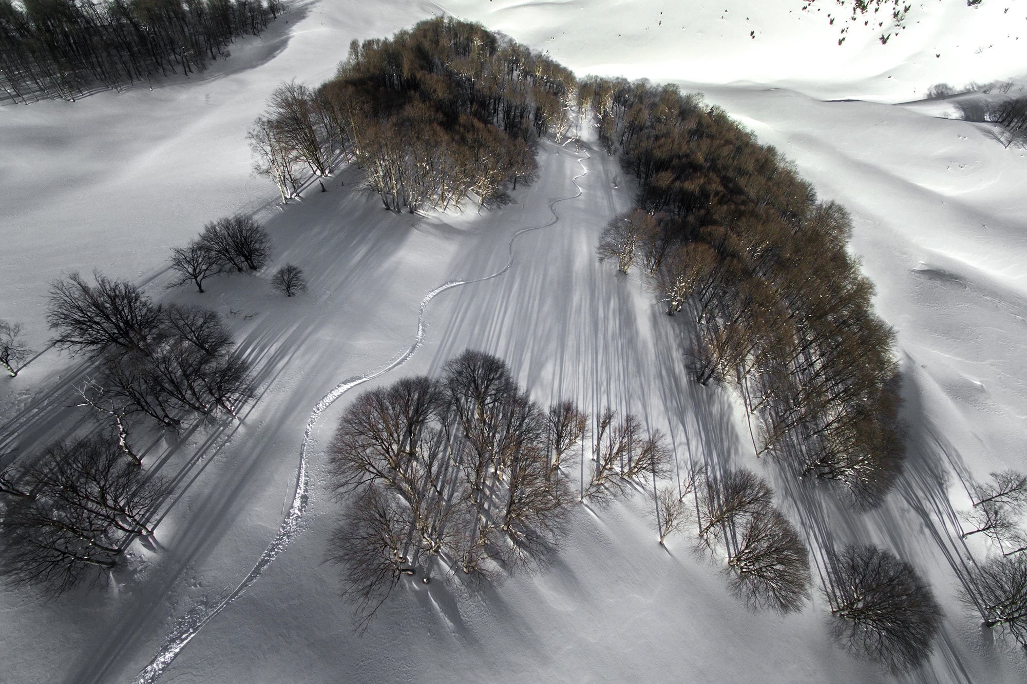PowderProjectGeorgia1_1