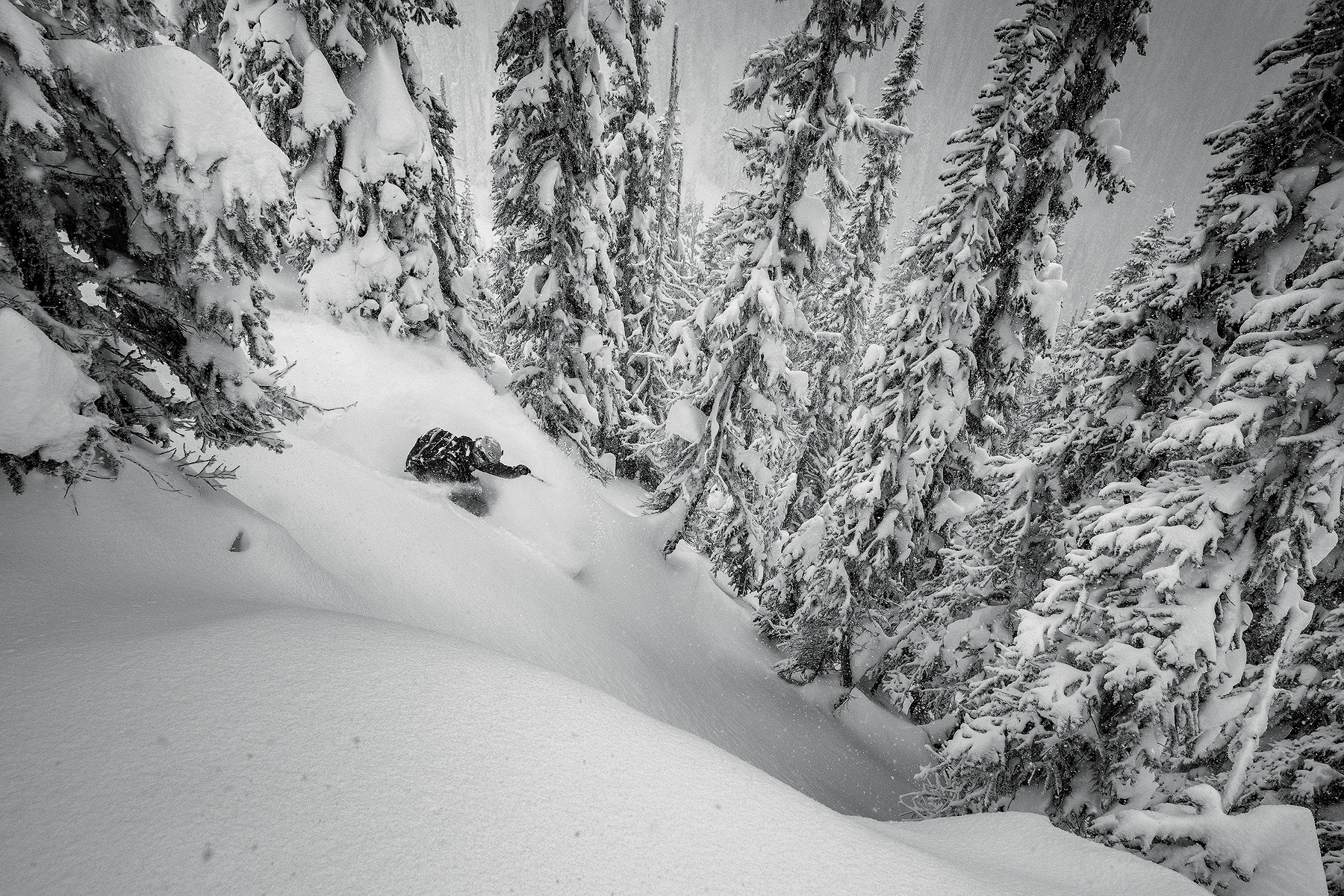 RevelstokeMR7