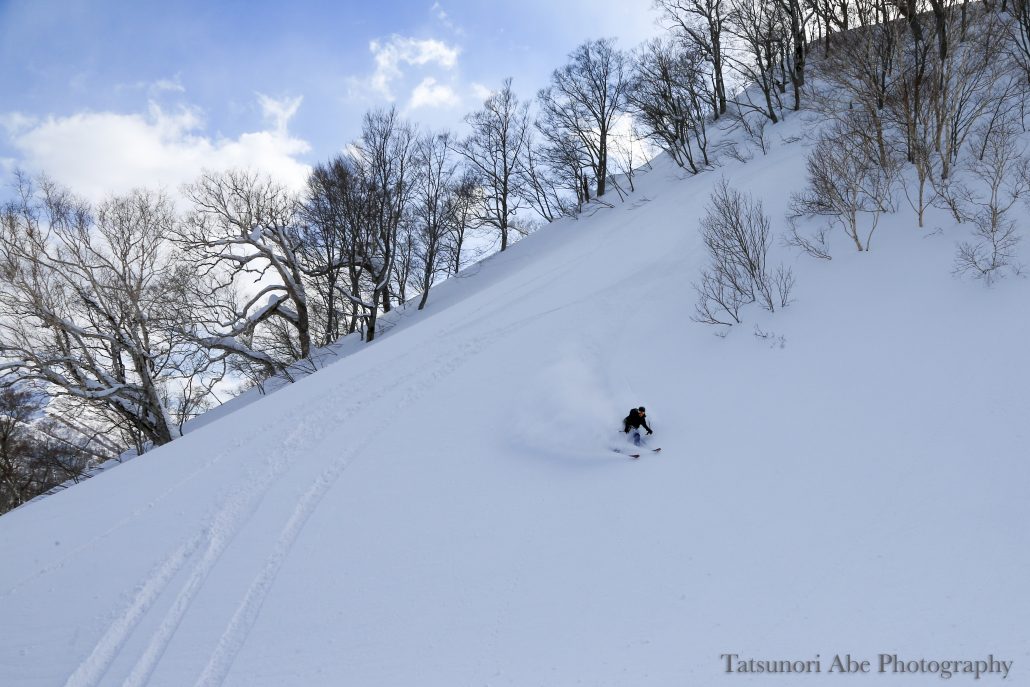 shimamaki-catskiing2