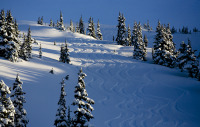 skeena_mountains_photo_sito